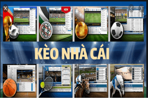Luôn cập nhật t?l?kèo t?nhà cái