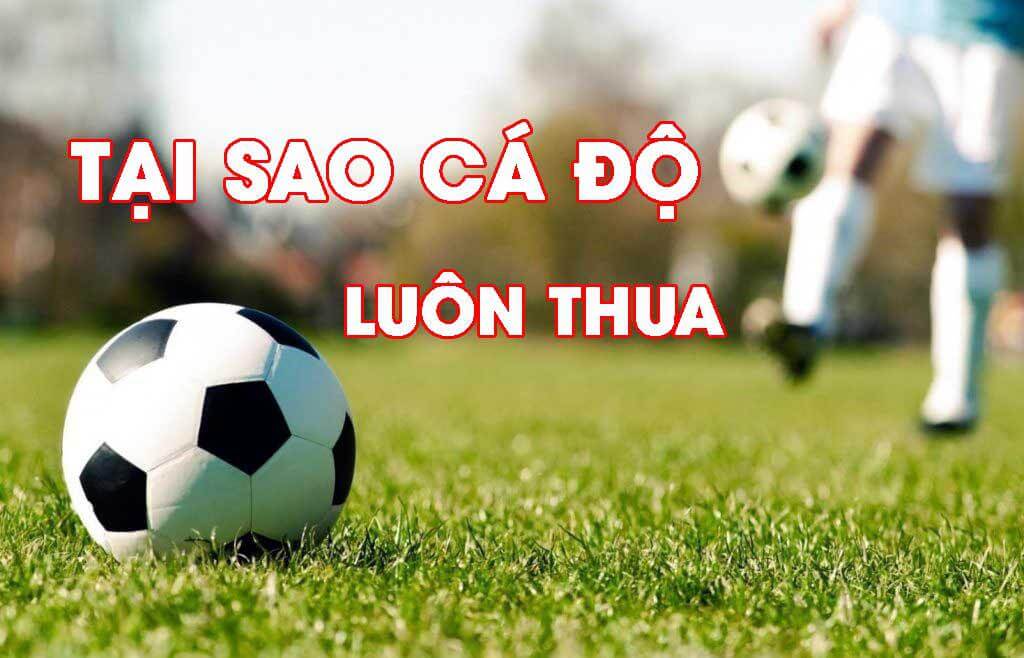 Nguyên nhân dẫn đến cá độ toàn thua